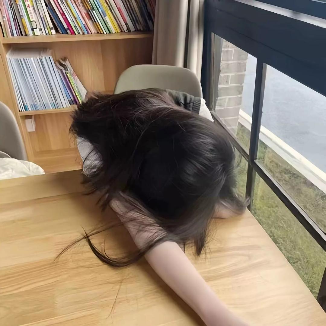 卷毛小呆猫