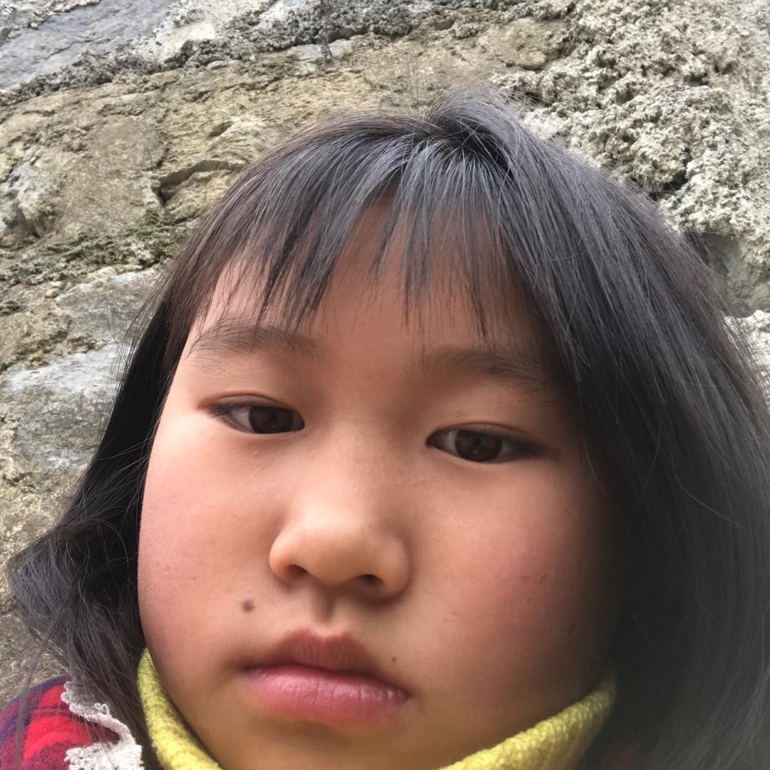 罗罗