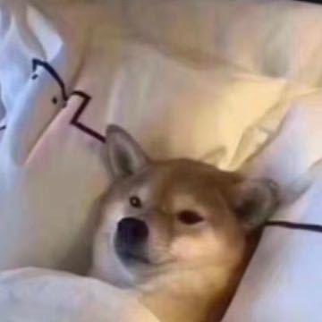 青山看我应如是丶