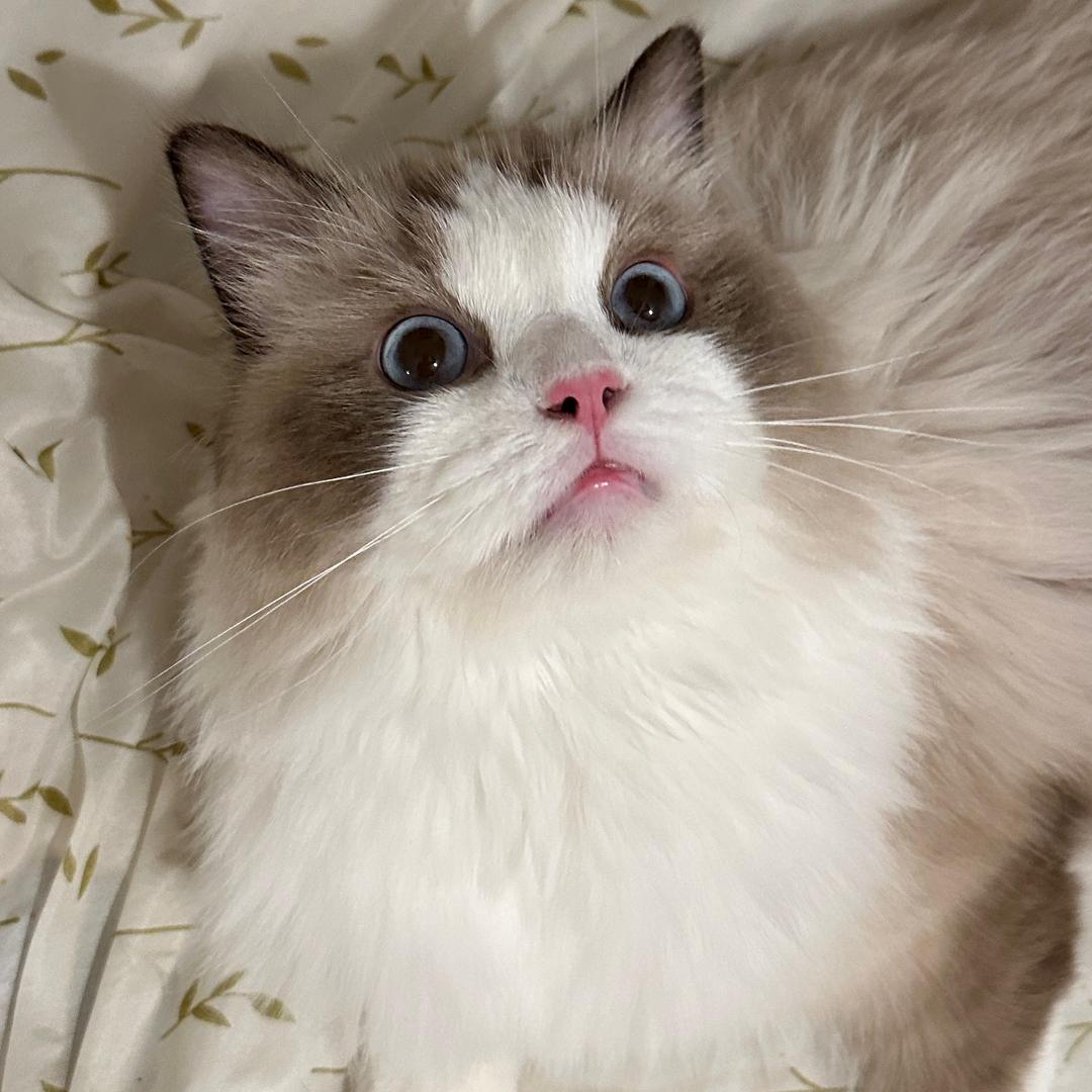 福仔仔~