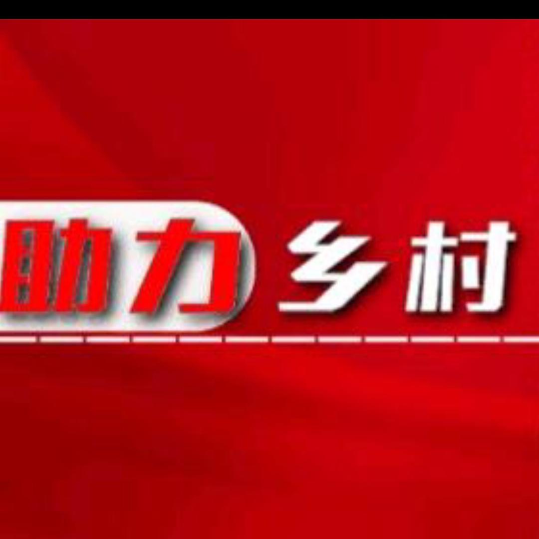 村主任助农土特产