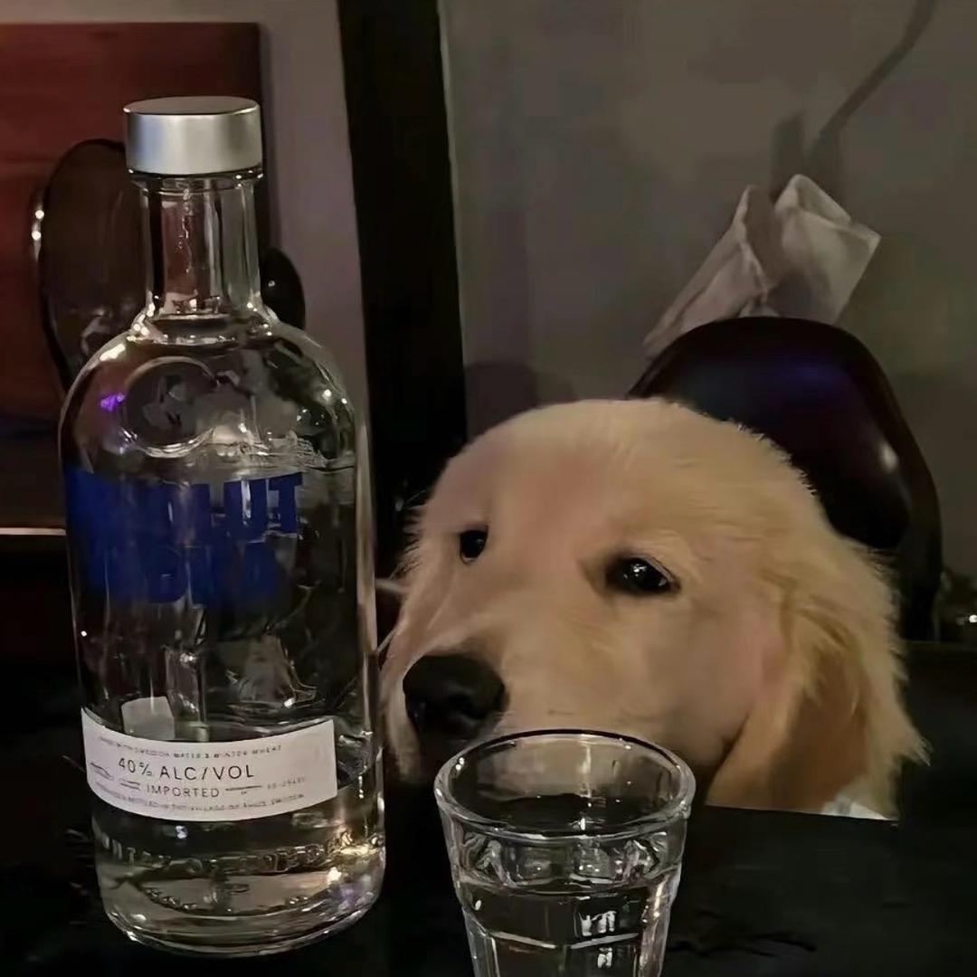 微醺小抽子🍺