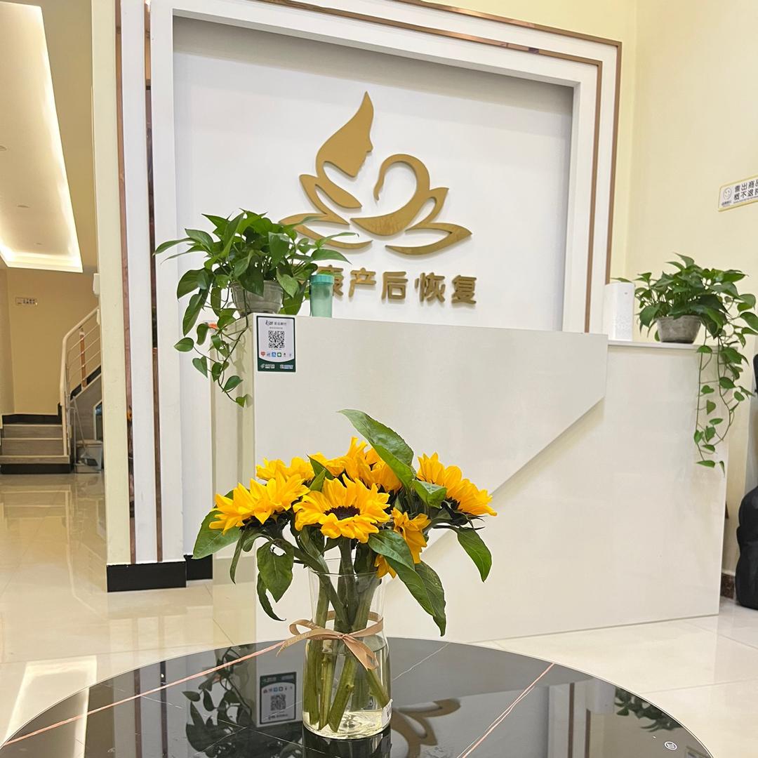 菲菲