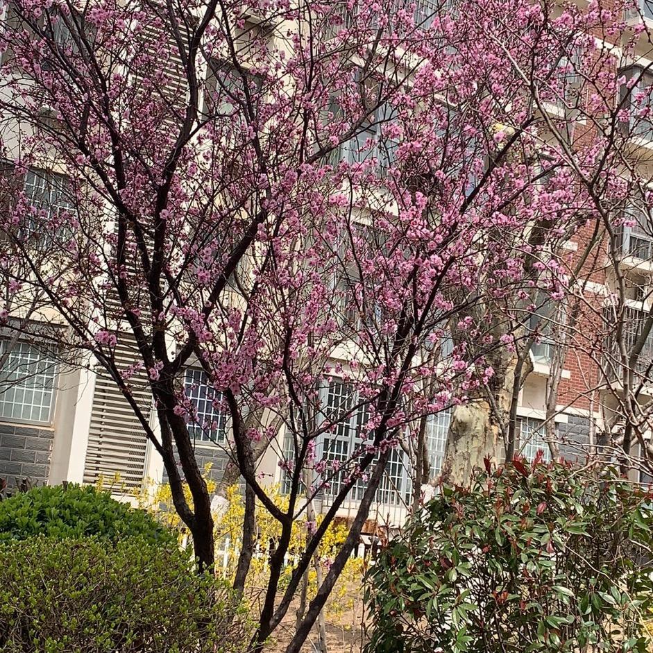 未来可期，时光美好！