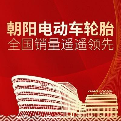 朝阳杭州美鸣贸易有限公司电动车专卖店