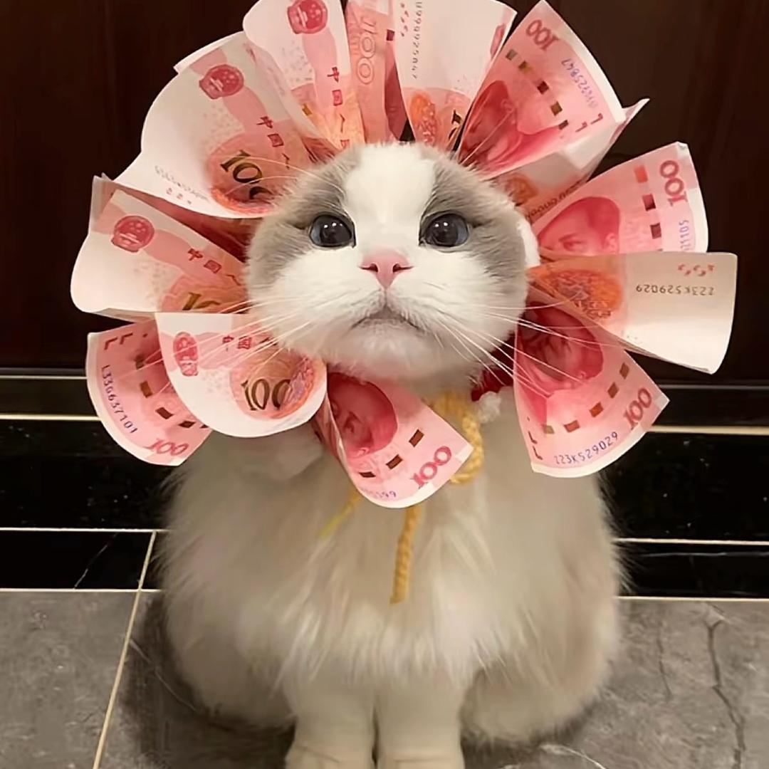 圆圆脸ing