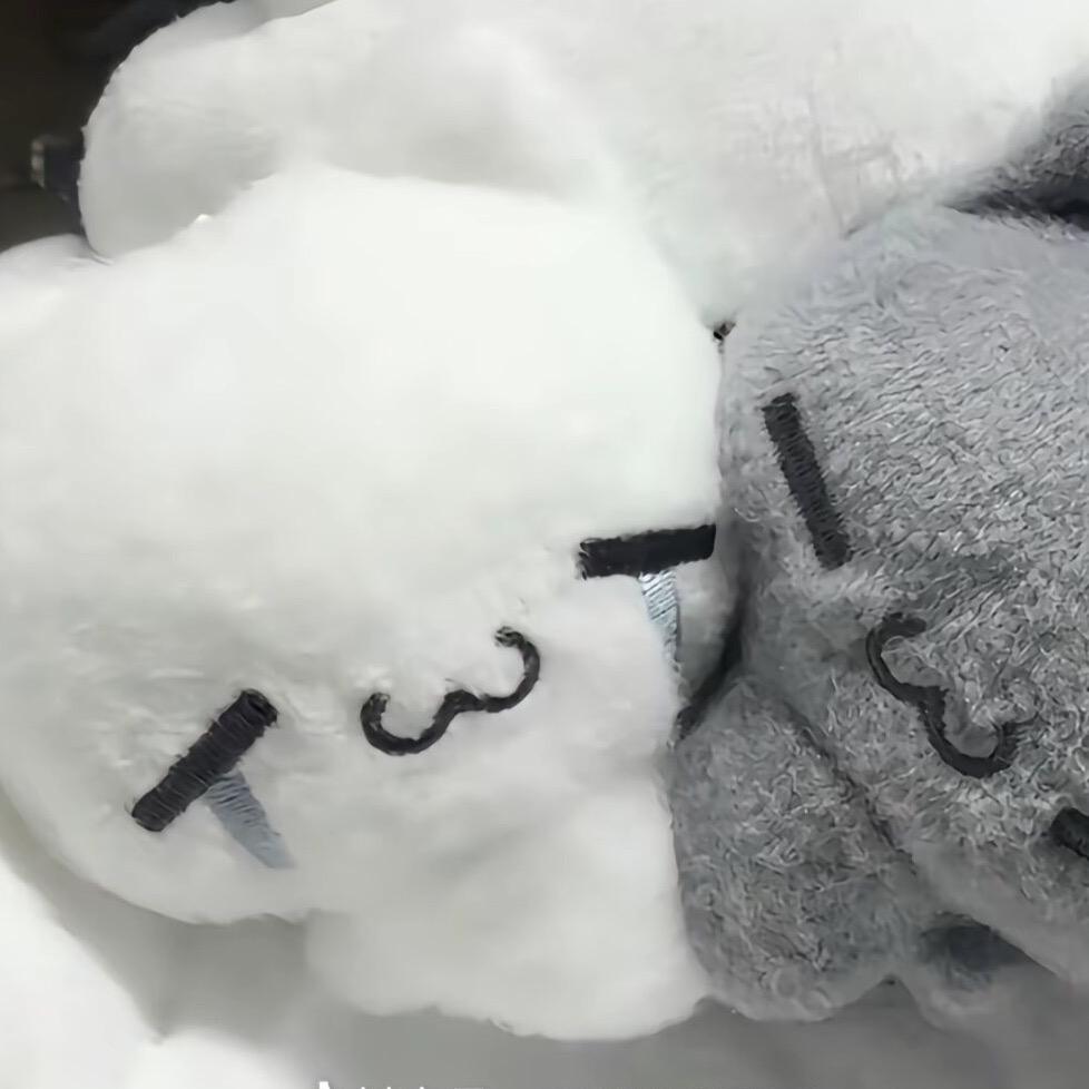 厌冬头像