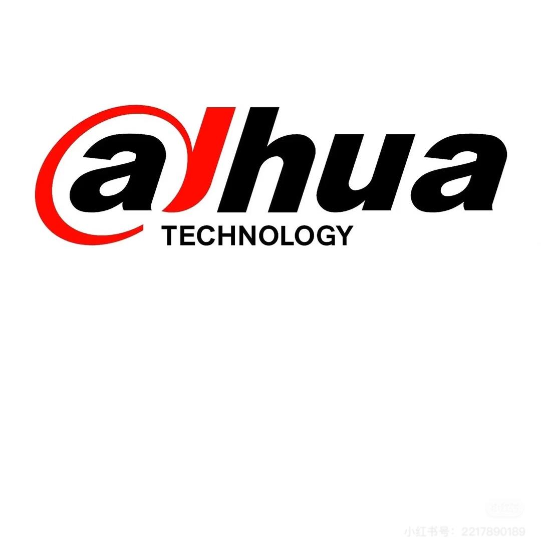 Dahua星安防专卖店