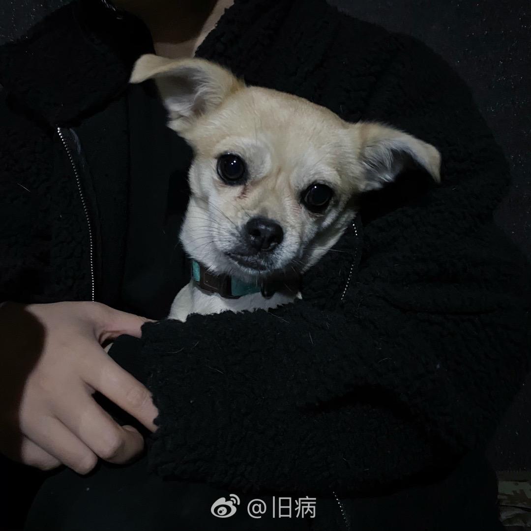 阿肆-