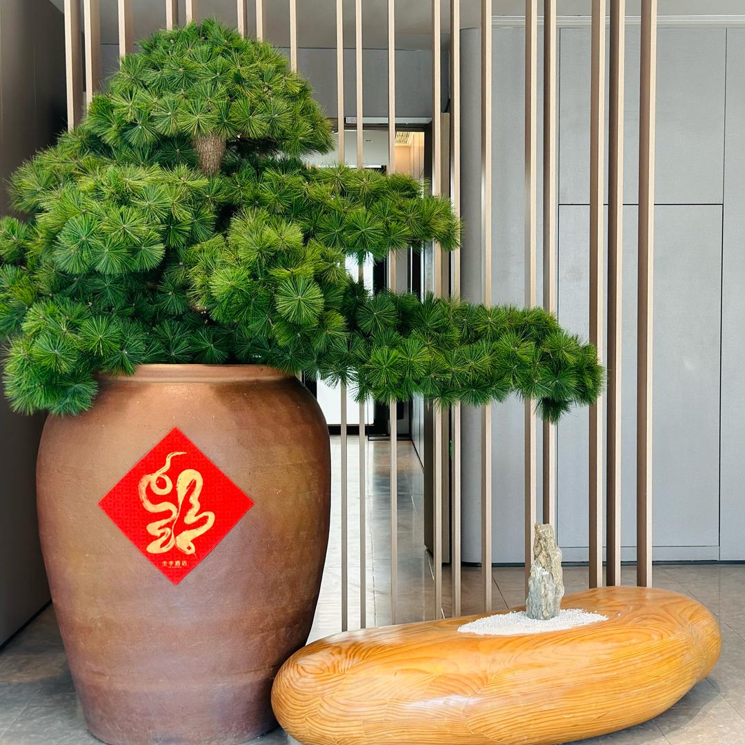 全季酒店（常熟滨江碧浒路店）
