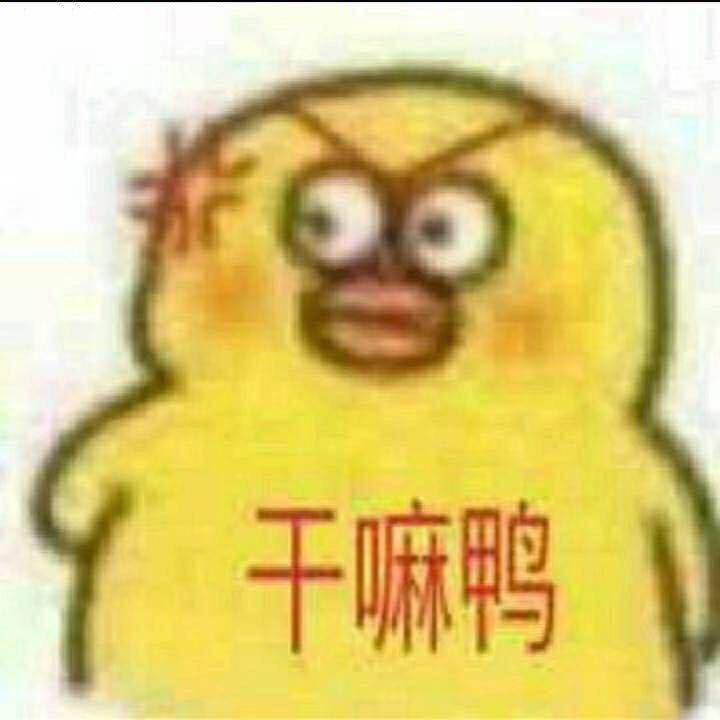 小黄鸭