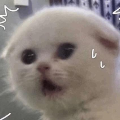 小咸鱼