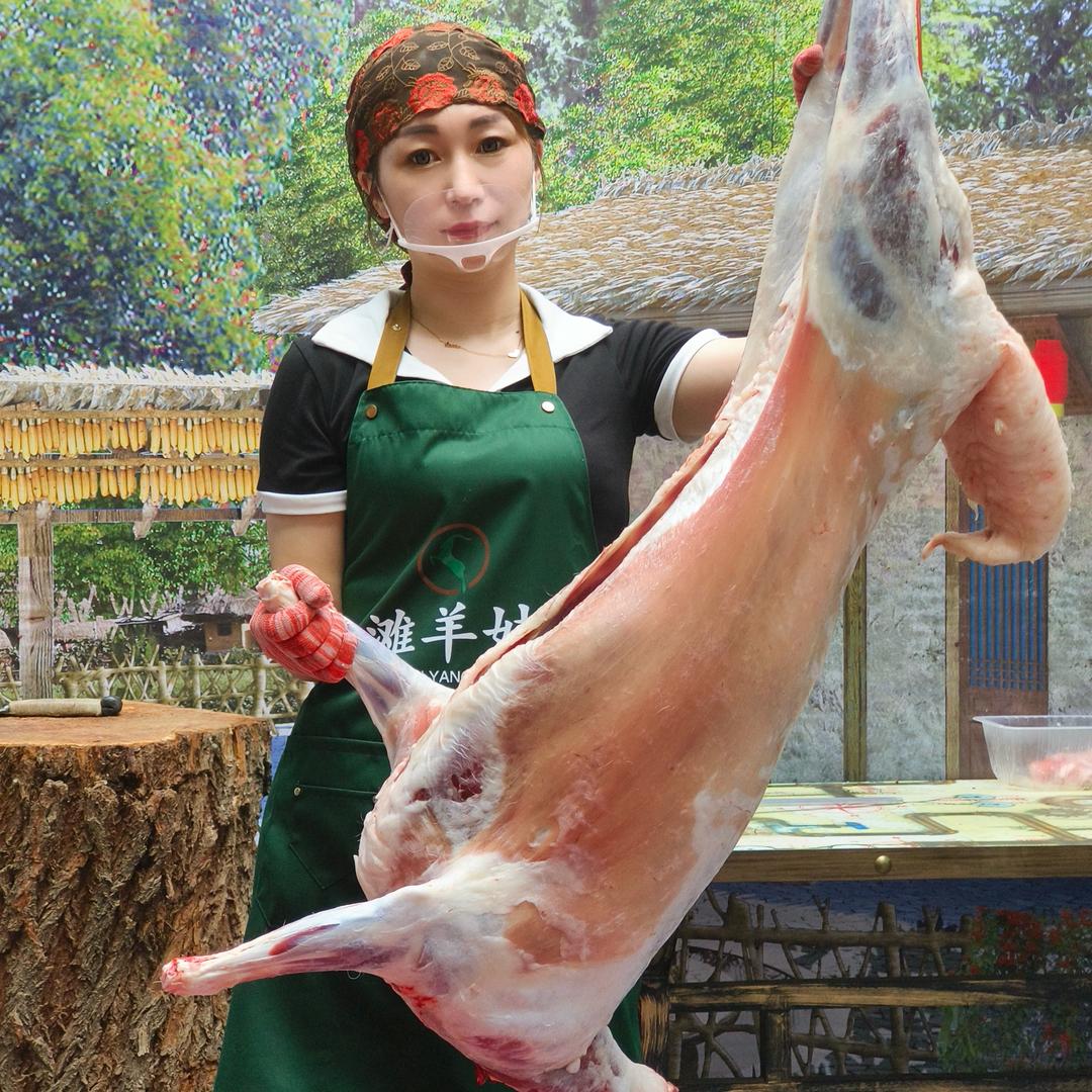 宁夏滩羊牧羊人
