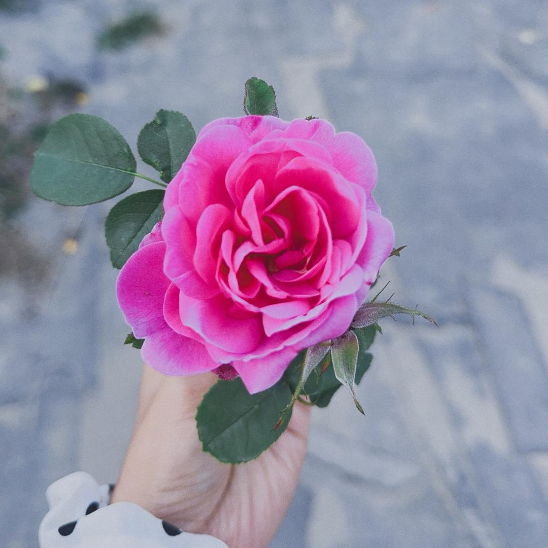 次央百货店（努力版）