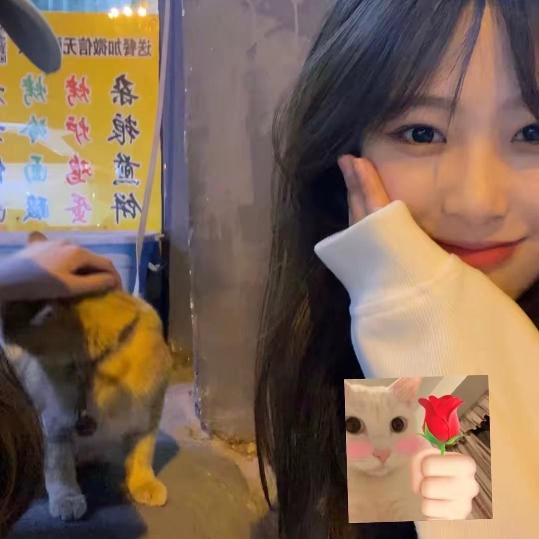 乔乔好物甄选🌼