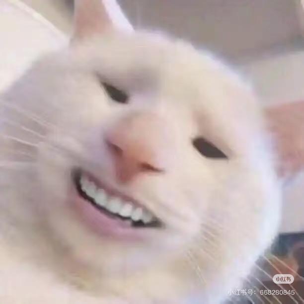 电子鱼丝er