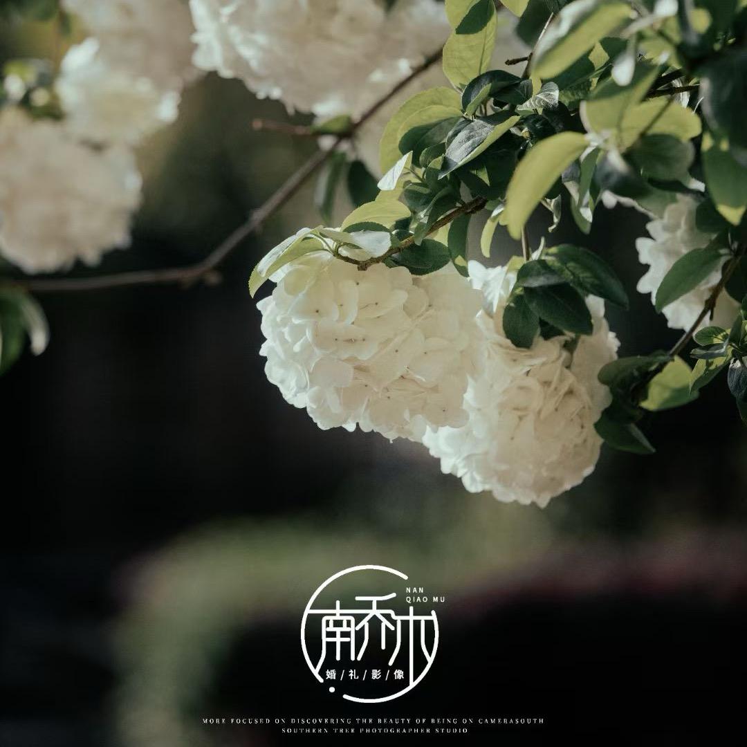 南乔木摄影工作室客服