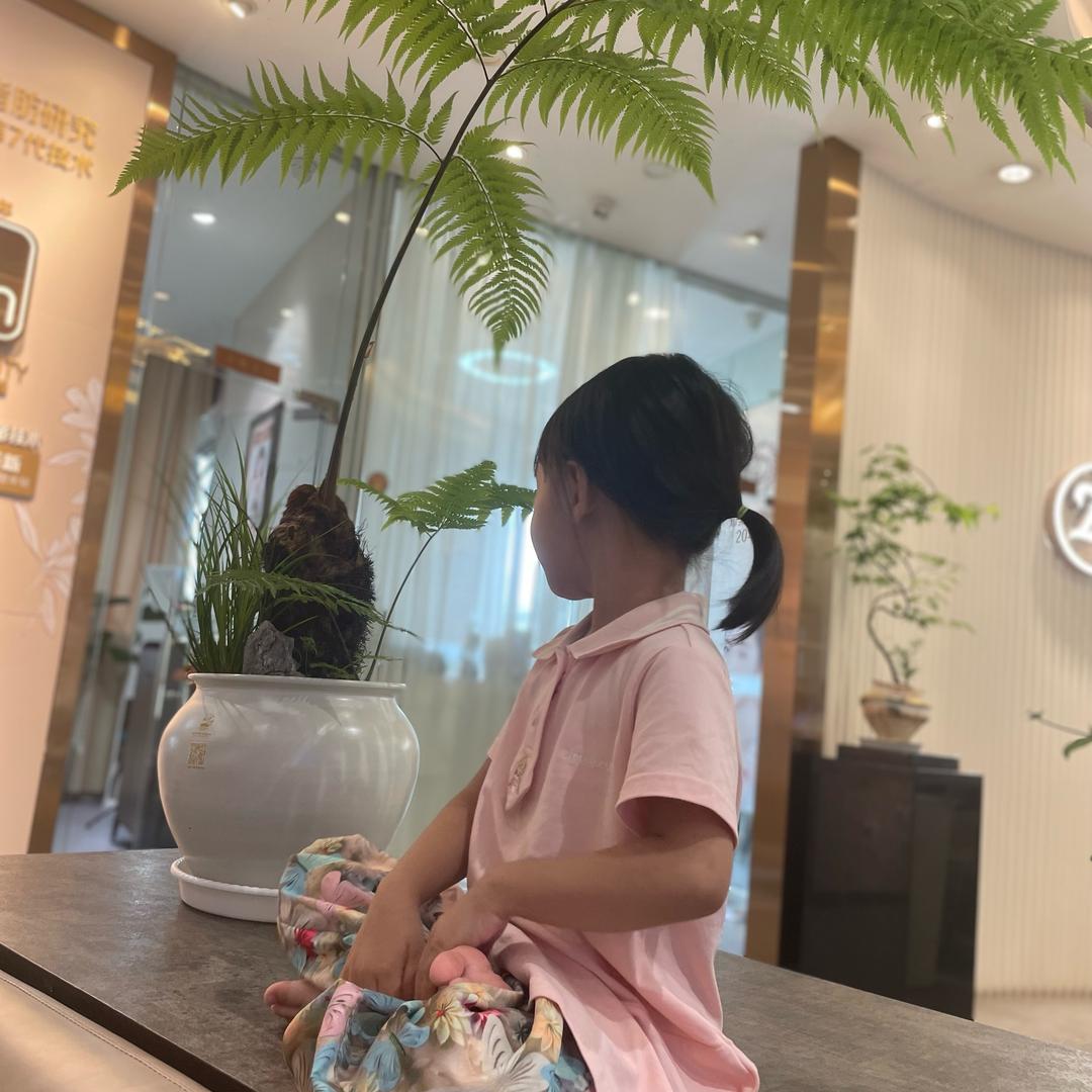 姚不可及清曾鲈鱼