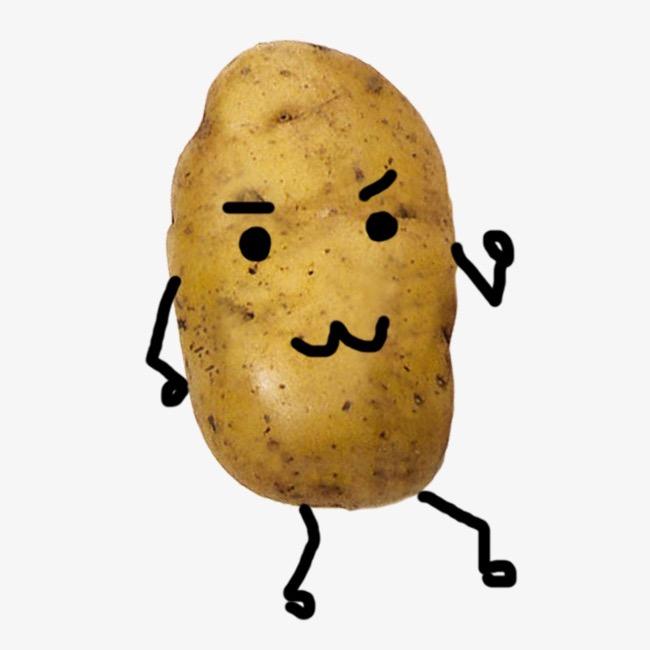 小小土豆🥔