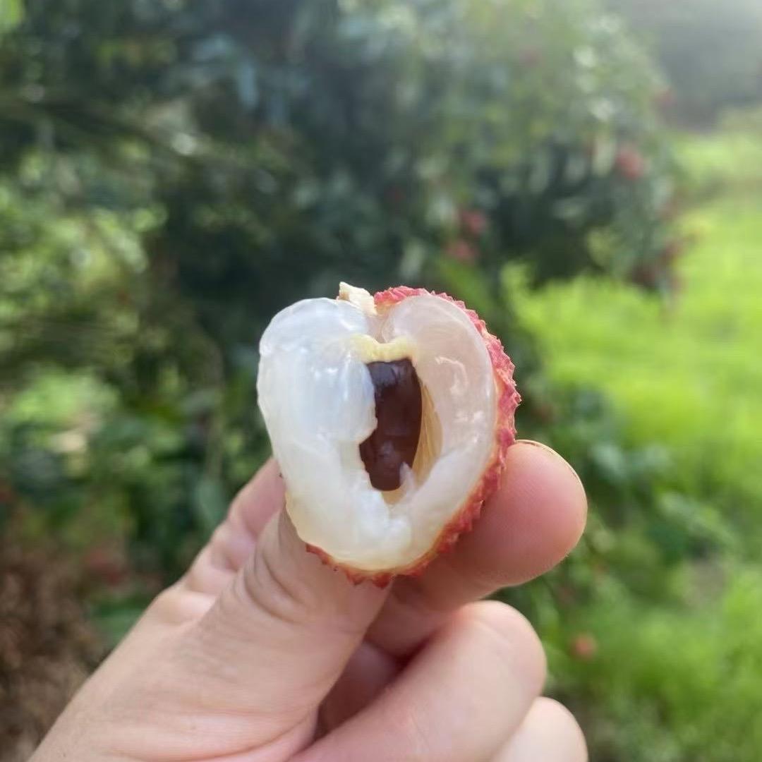 小草遇上墙