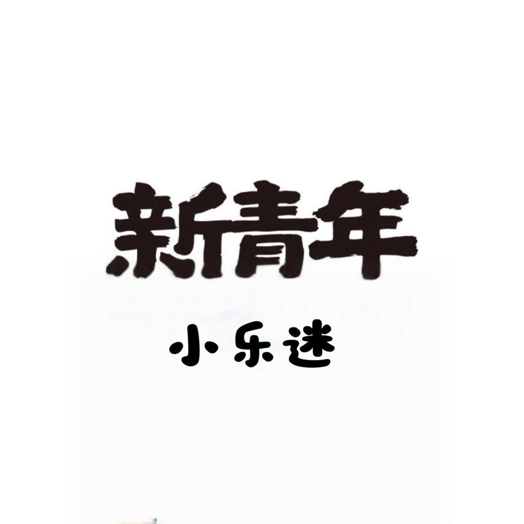 新青年音乐节小乐迷