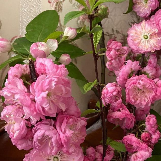 添滋源百货商行