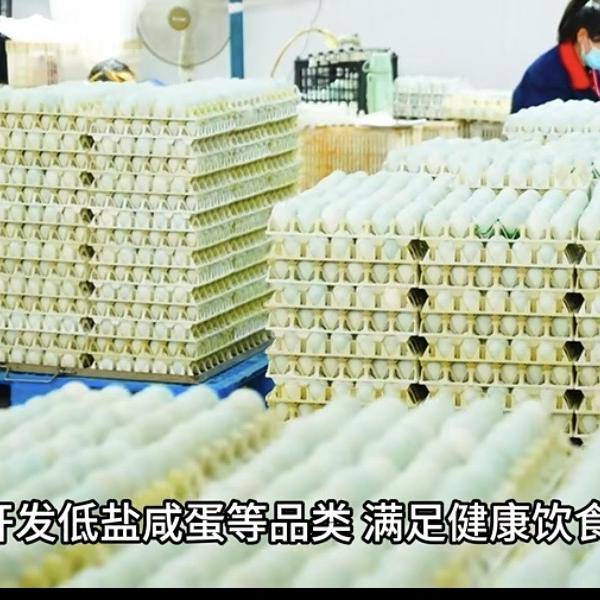 江水桃花新恒强牧业蛋制品专卖店