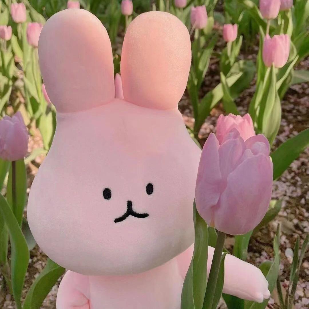 蔓悦莓