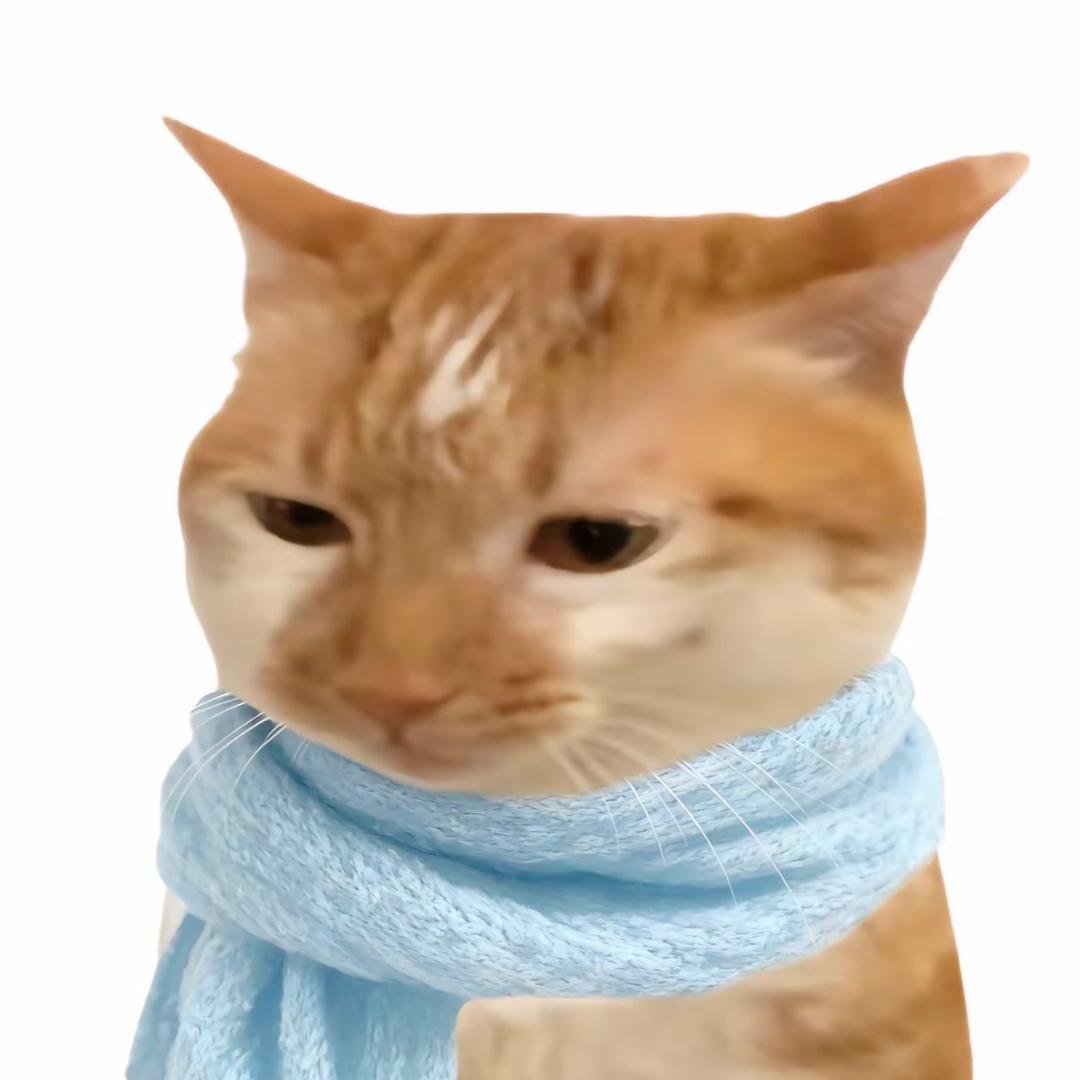 橘橘