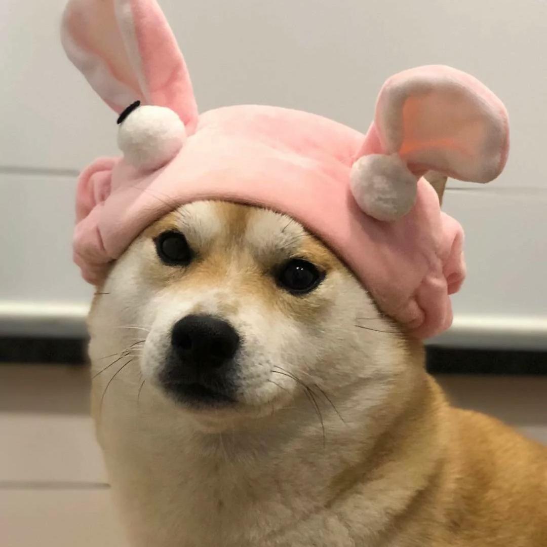 曹曹呐