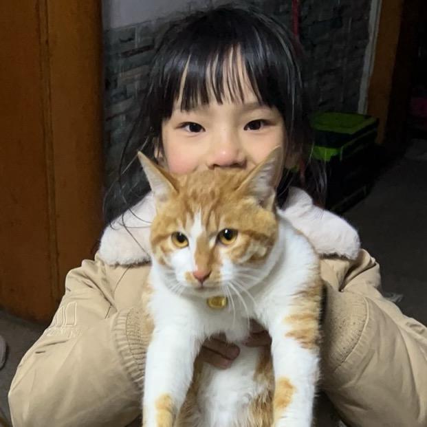 小猫🐱招财