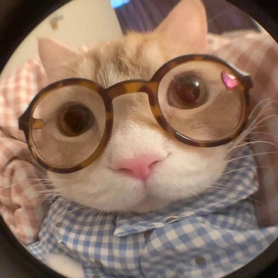 肯肯