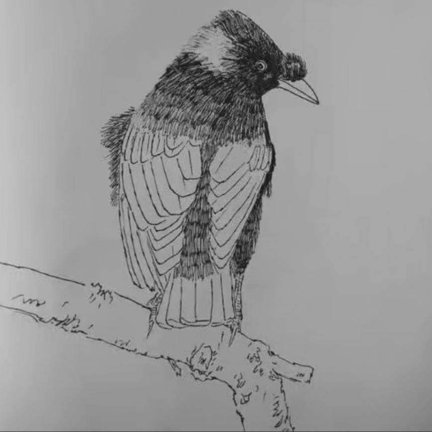 A 。🌟可不乐。