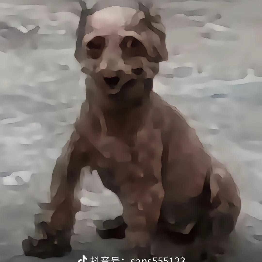 邪恶小泰迪头像