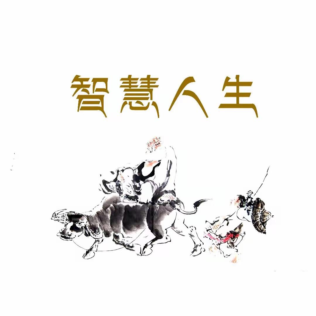 智慧人生➕