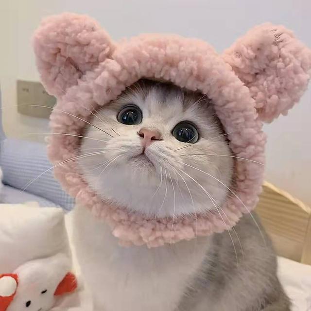 樱洛