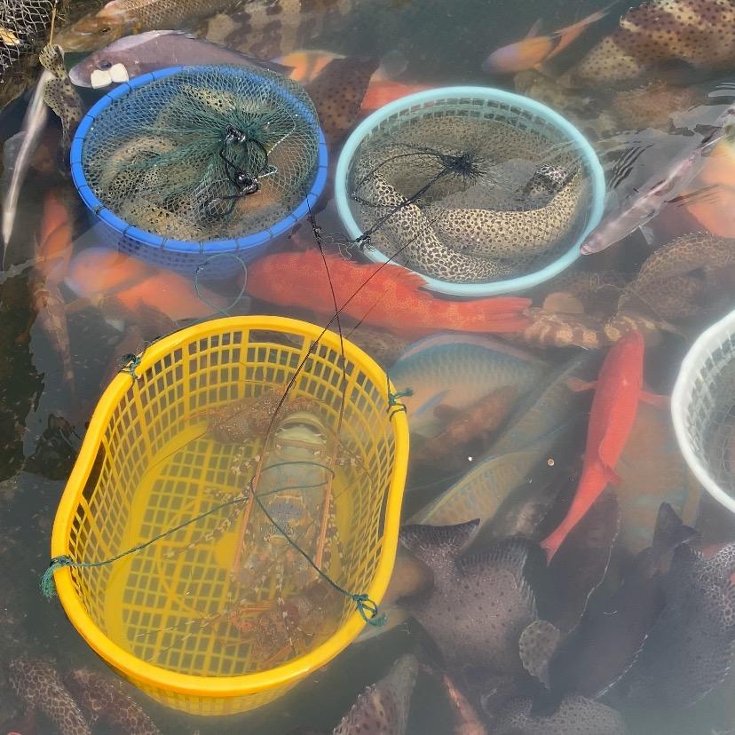 南澳海鲜群哥🐟🐠🦀️🦞🦑