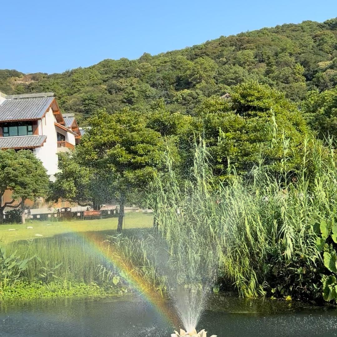 木林森森