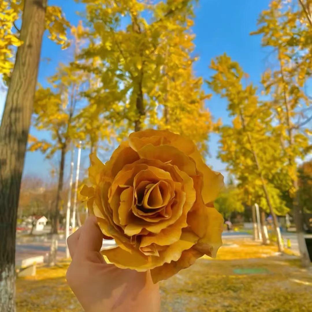 闪电💕