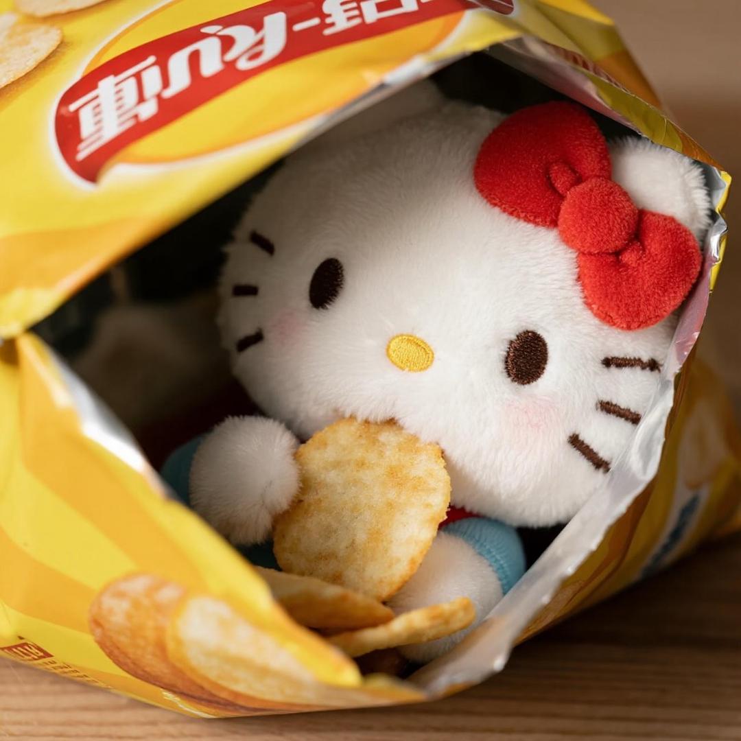一只懒洋洋