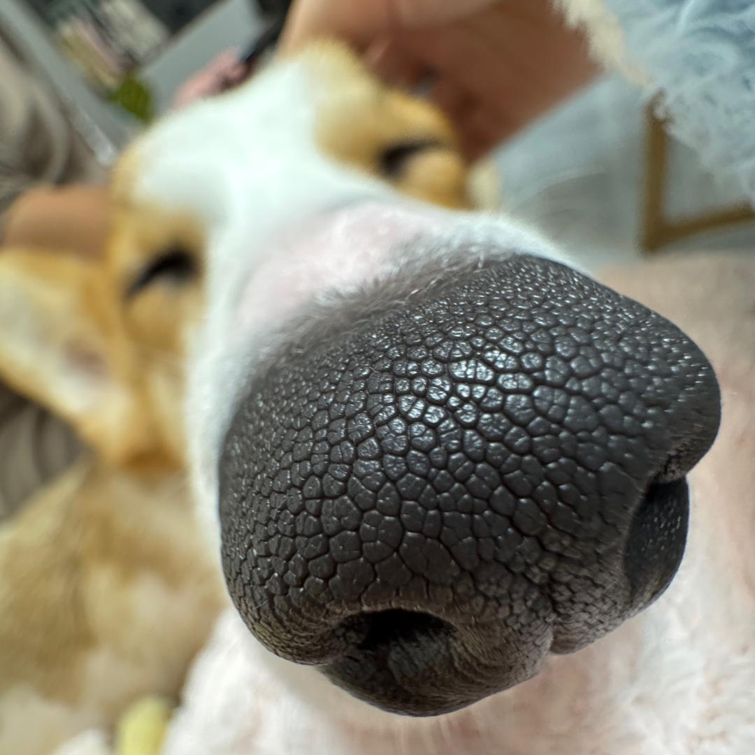 罗瑞瑞的生活日记📔