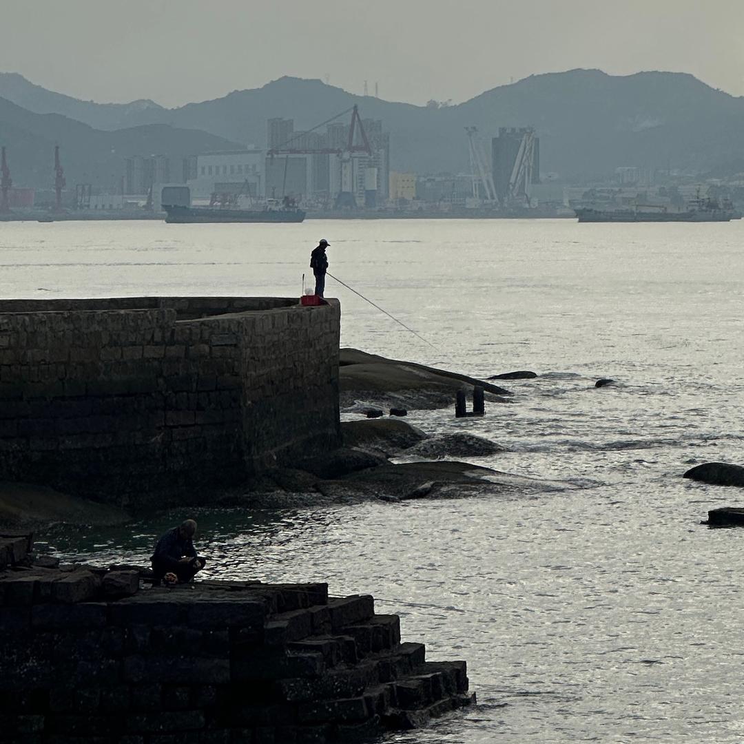 想睡睡不着然后装睡的🐑