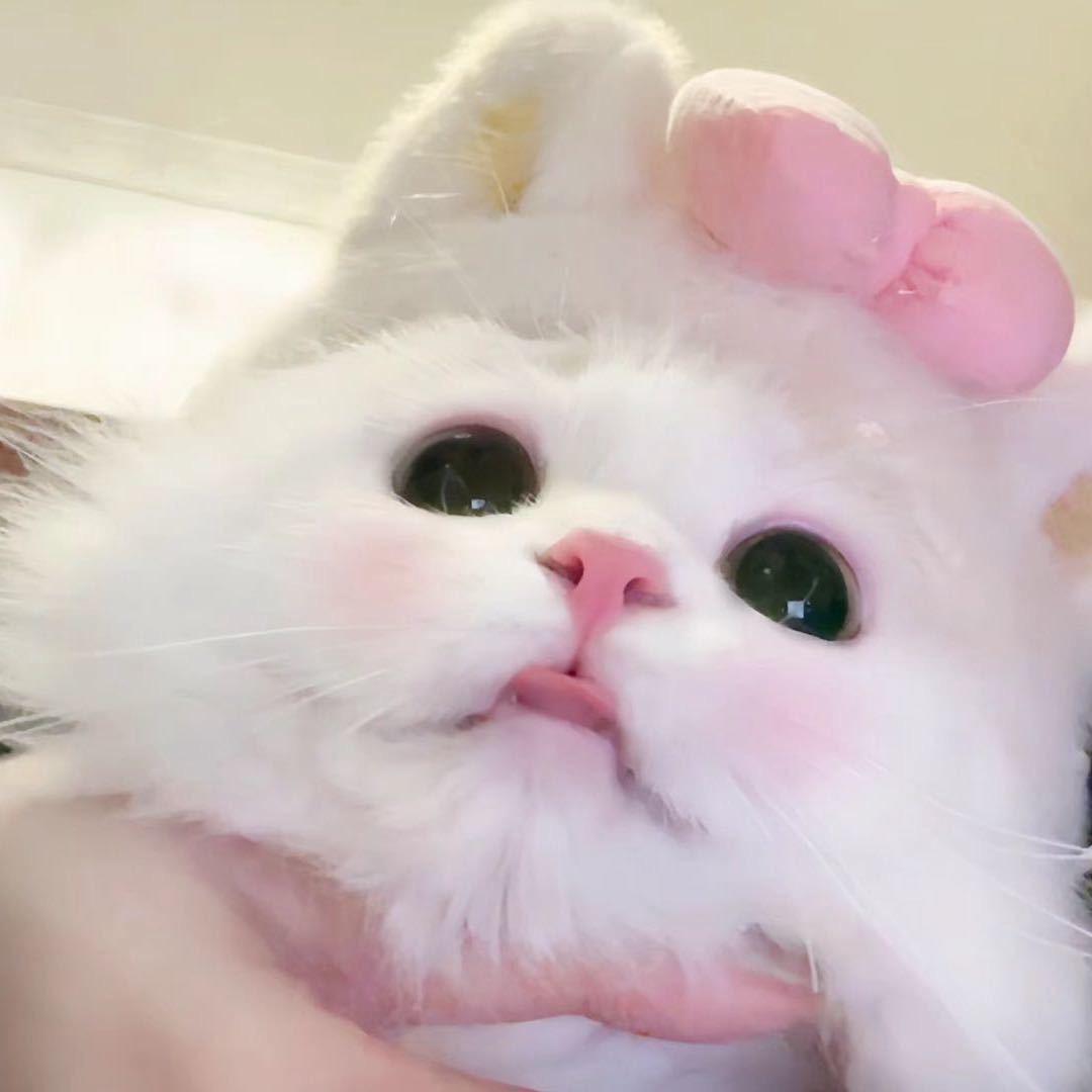 NANA呀