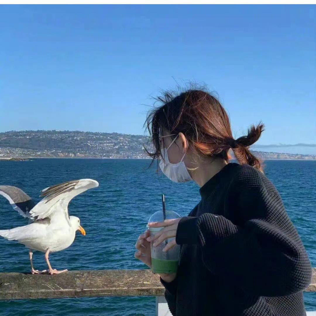 甜甜🔥了-炬光✨