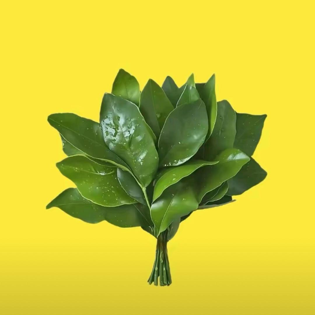 小团福福