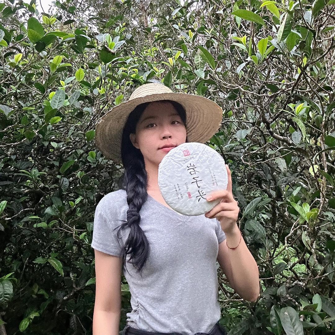 镇康小表妹普洱茶