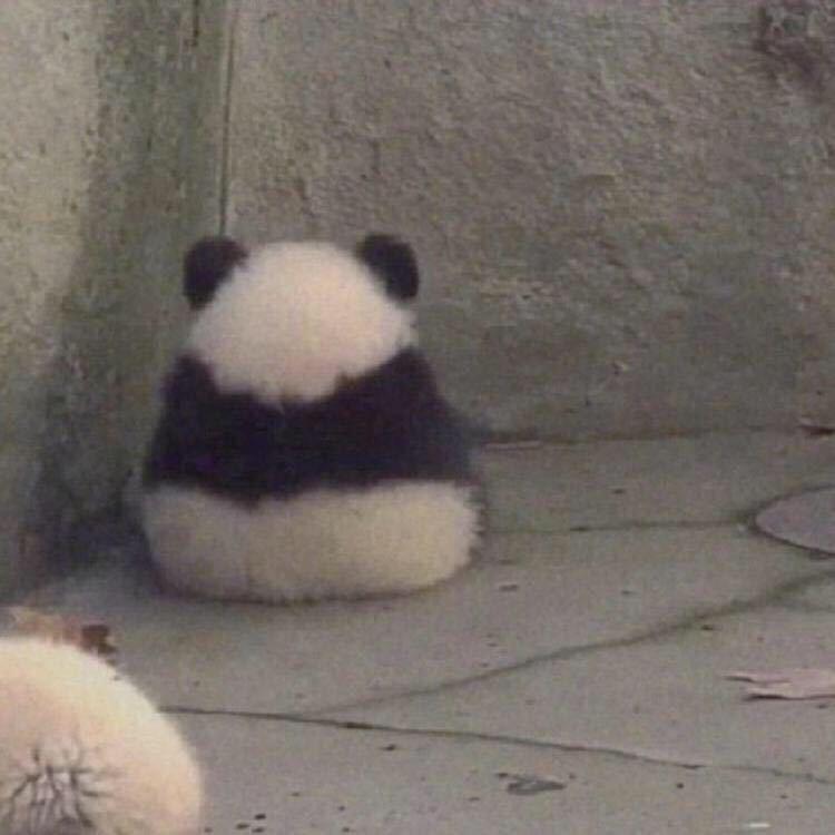 dnf手游图卢皮