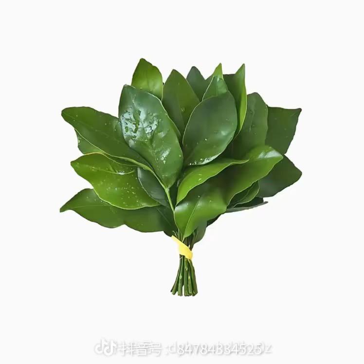 阿拉胖