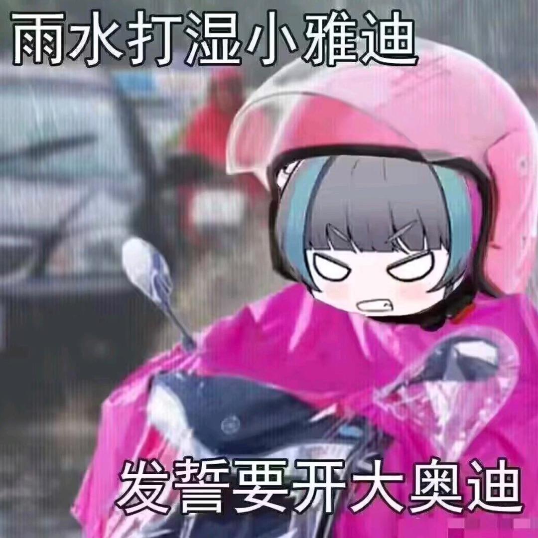 。。。。。。。。。