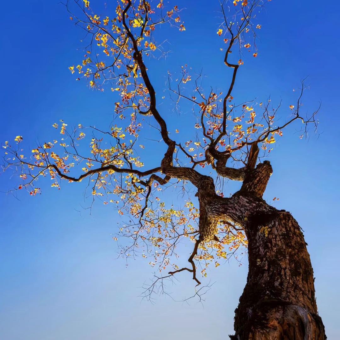 ￴ ￴ ￴￴ ￴ ￴